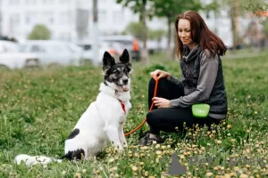 Dodatkowe zdjęcia: Właściciele porzucili Lunę, cudowny pies bardzo potrzebuje domu!