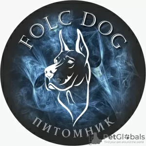 Zdjęcie №3. Hodowla FolkDogów. Kirgistan