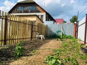 Dodatkowe zdjęcia: Hotel dla psów