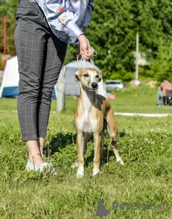 Zdjęcie №1.  - na sprzedaż w Czeboksary | 2570zł | Zapowiedź №9180