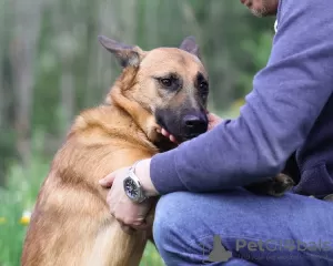 Dodatkowe zdjęcia: Ruda, szczera, zakochana