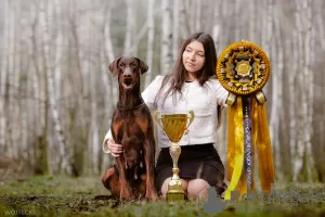 Dodatkowe zdjęcia: Szczenięta Doberman ZKwP/FCI - wyjątkowe skojarzenie